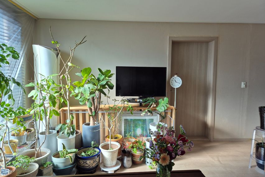 역3분 크은방A+ 정원 14번째 이미지