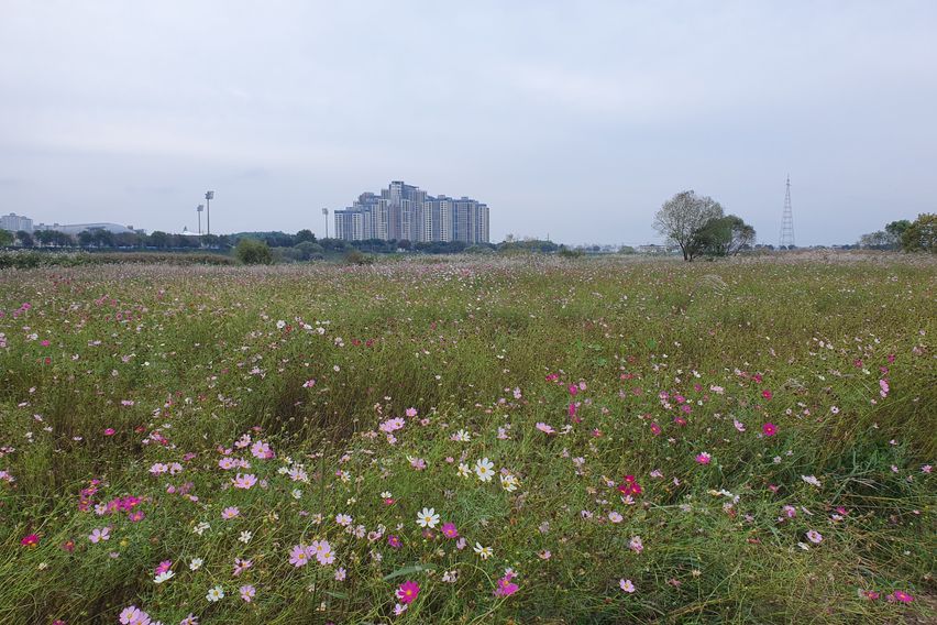 영산강 뷰멍 19번째 이미지