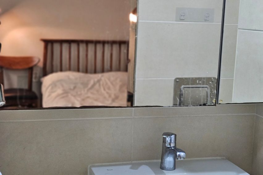 메이준_1월특가