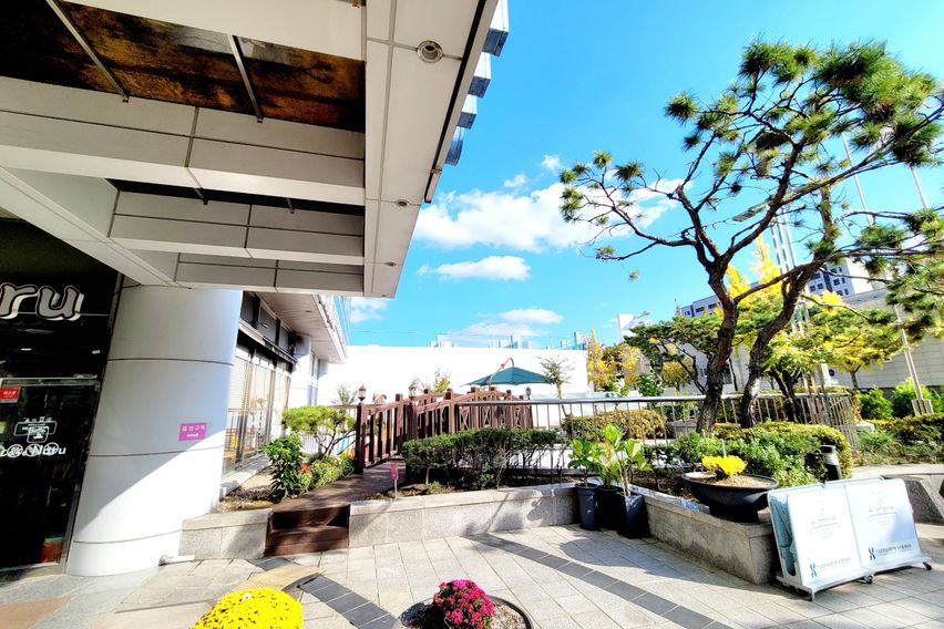 둔산 풀옵션 뷰맛집