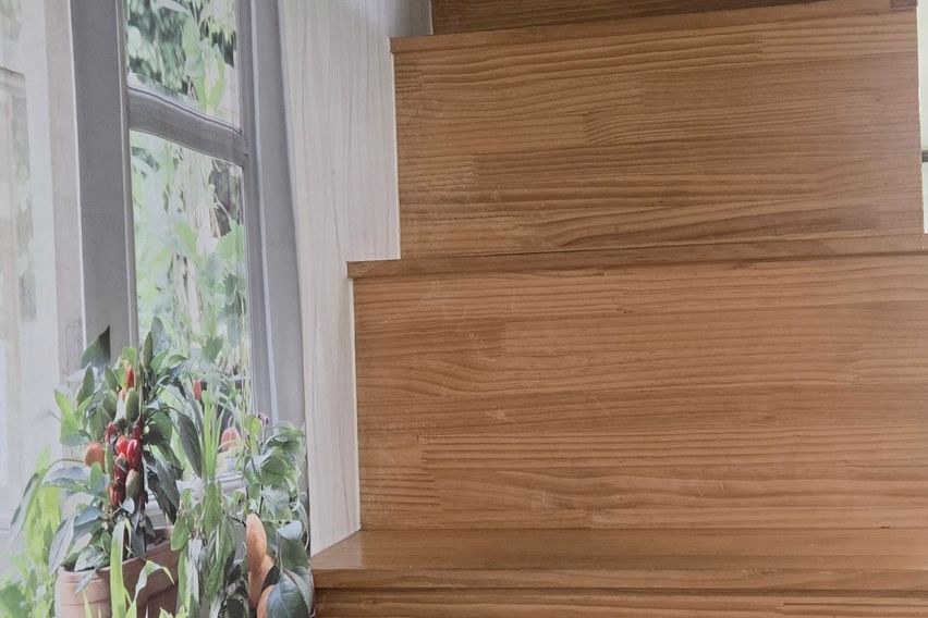 😽킴바 화정역3분 