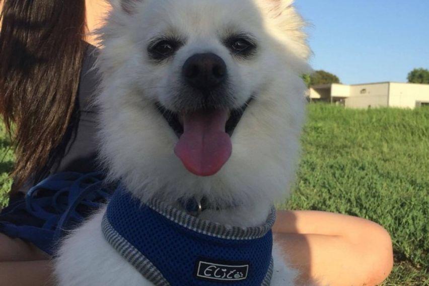 TM쉐어하우스아파트1 8번째 이미지