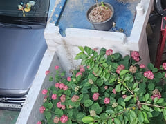 Haebangchon detached house – women only 9th image