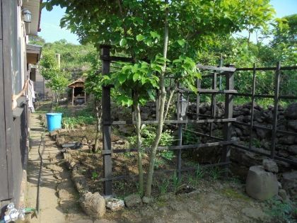 조용하고 편안한 나리채