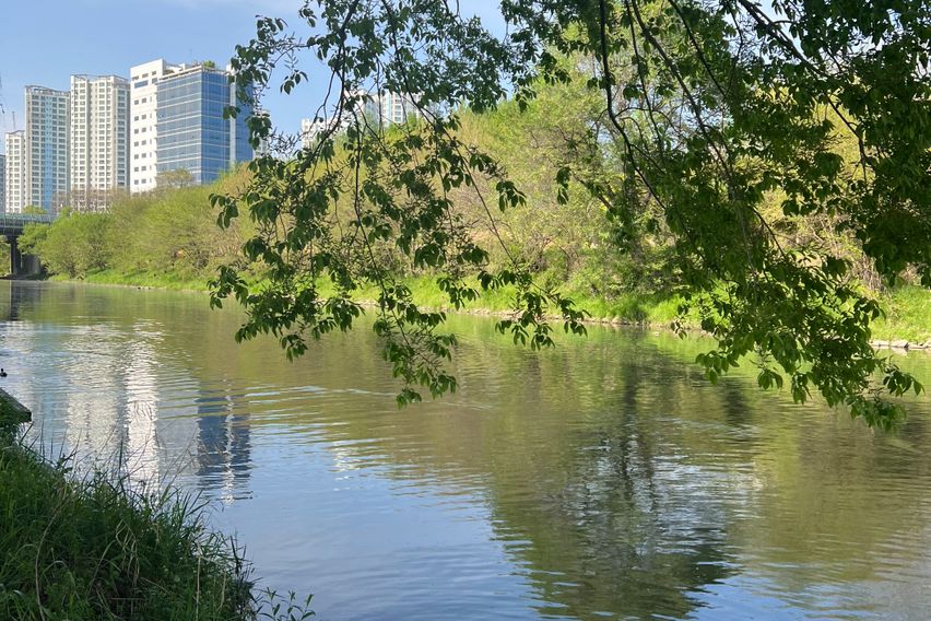 신설동역 복층 3인실