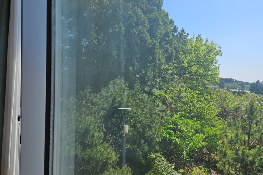 통창유리 트원침대T6