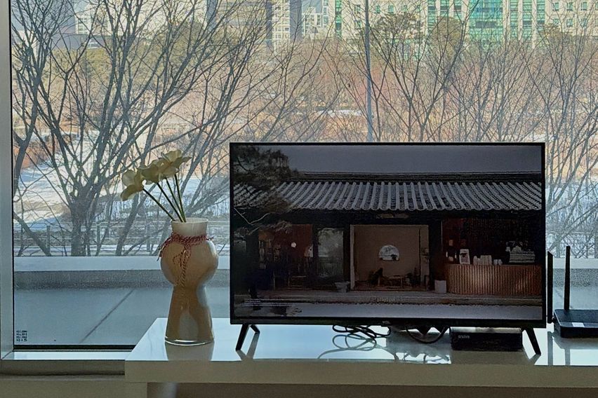 주차풀옵션 초록뷰🫛