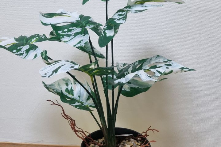 ☘️행운방☘️ 17번째 이미지