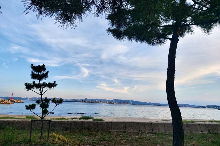 포항 홍시네 앞마당