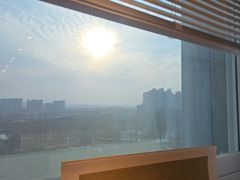 장항동 노을뷰장미정원 12번째 이미지