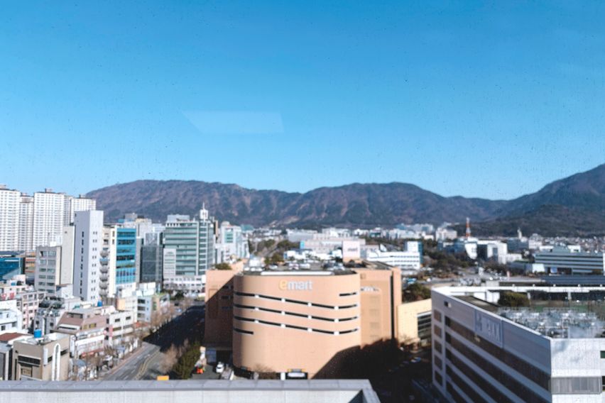 창원 도심1초 기쁨🍋