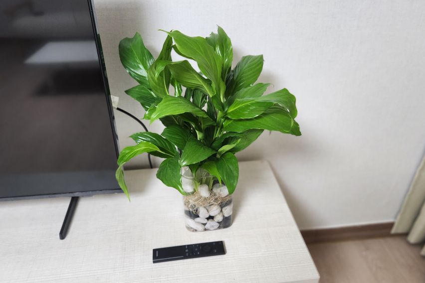 연서면28평아파트