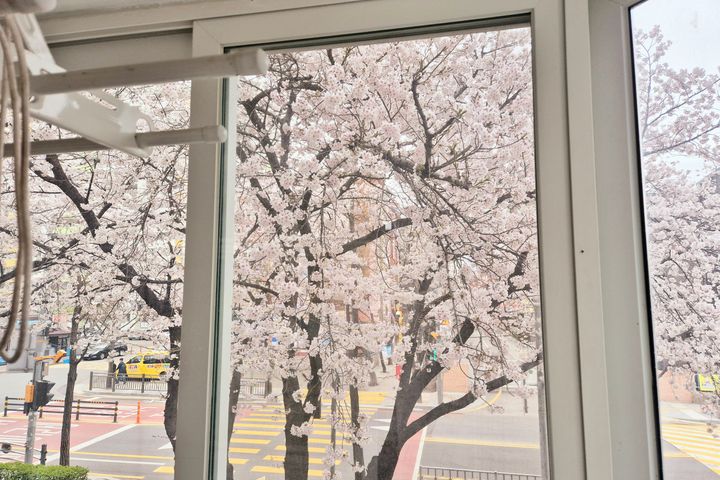 노원역앞!기분좋은집🍀 17번째 이미지