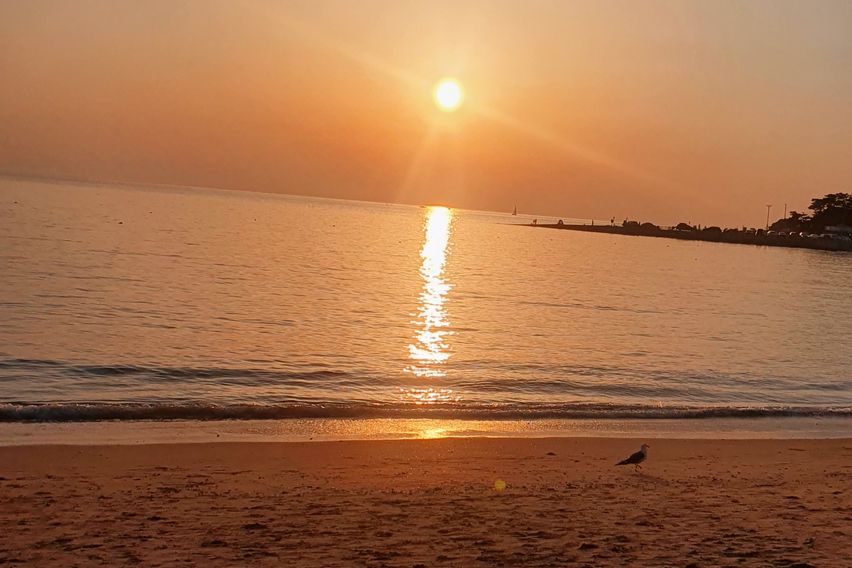 거북섬 더웰 15번째 이미지