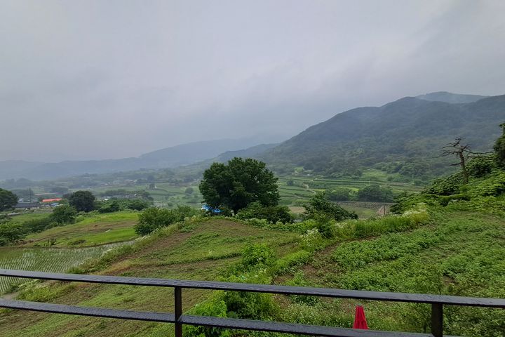 합천호그리다2층 16번째 이미지