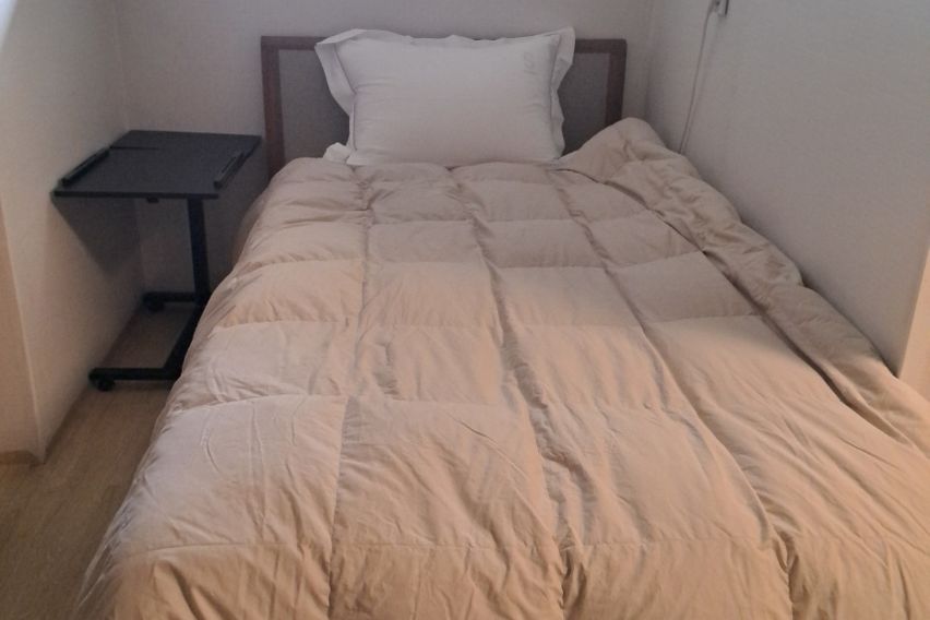 춘천 공지천 감나무집