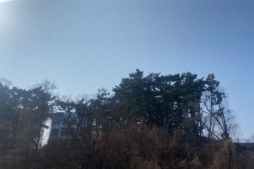 몰리하우스 A 4번째 이미지