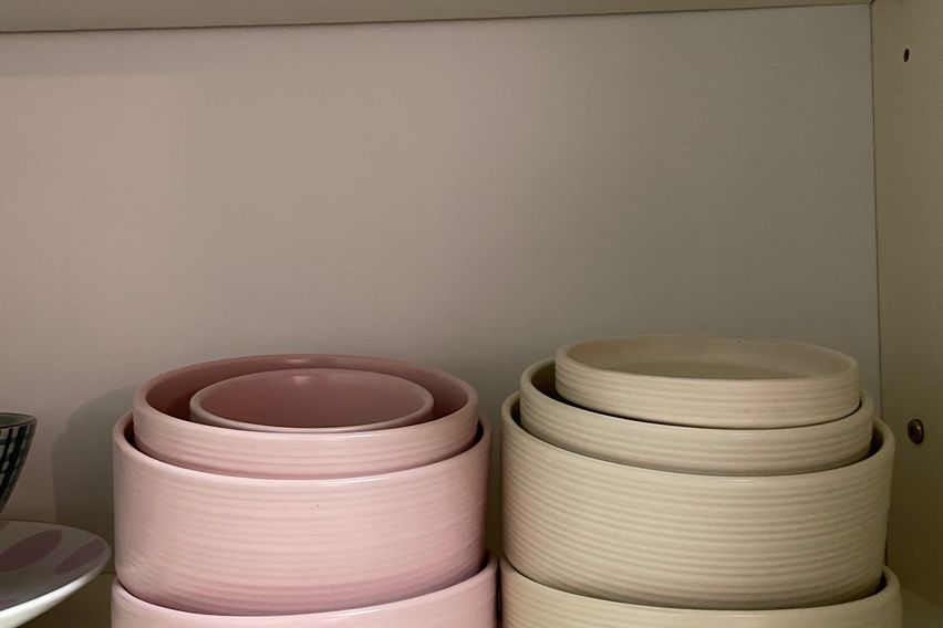 평촌 한림대 숲속의아침