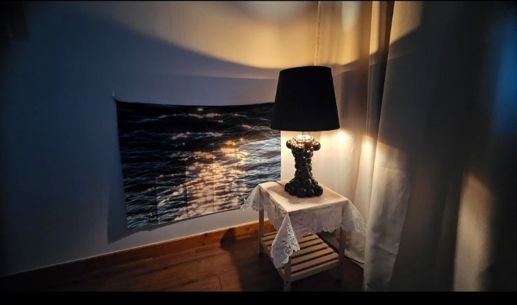 단독 사용 하루한팀