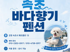 ♡Sokcho Sea Scent Antique 503 4th image