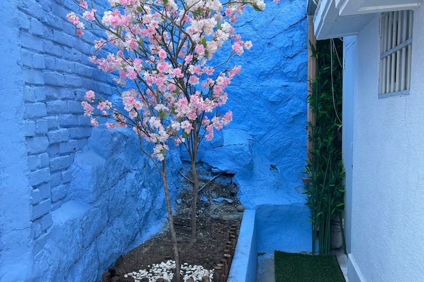 체리블라썸 16번째 이미지