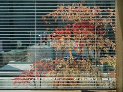 Stay_U_507호 0번째 이미지