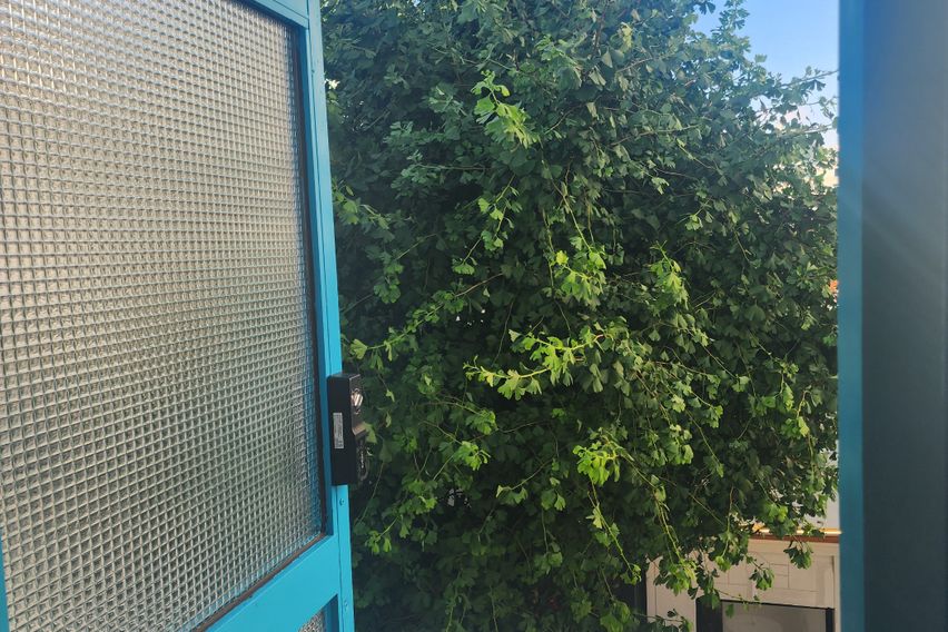 광안리드론쇼 광대뷰맛집