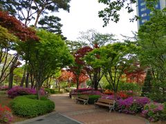 Spacious 3-bedroom apartment in Cheongna, Inc 0th image