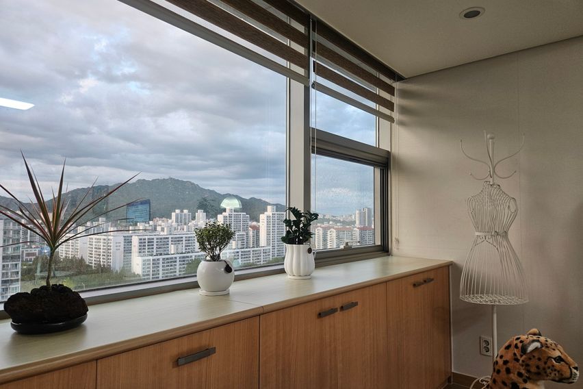 🌸신규할인심플마운틴뷰 8번째 이미지