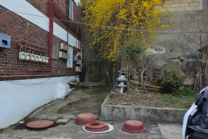 봉산 편백마을 끝집 12번째 이미지