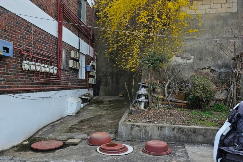 봉산 편백마을 끝집 12번째 이미지