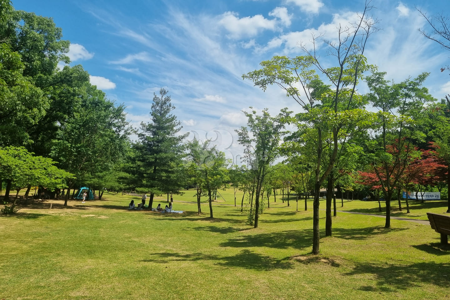 #SunHospital Internship – 1-Minute Walk! 19th image