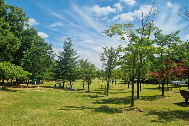 #선병원실습 도보1분! 16번째 이미지