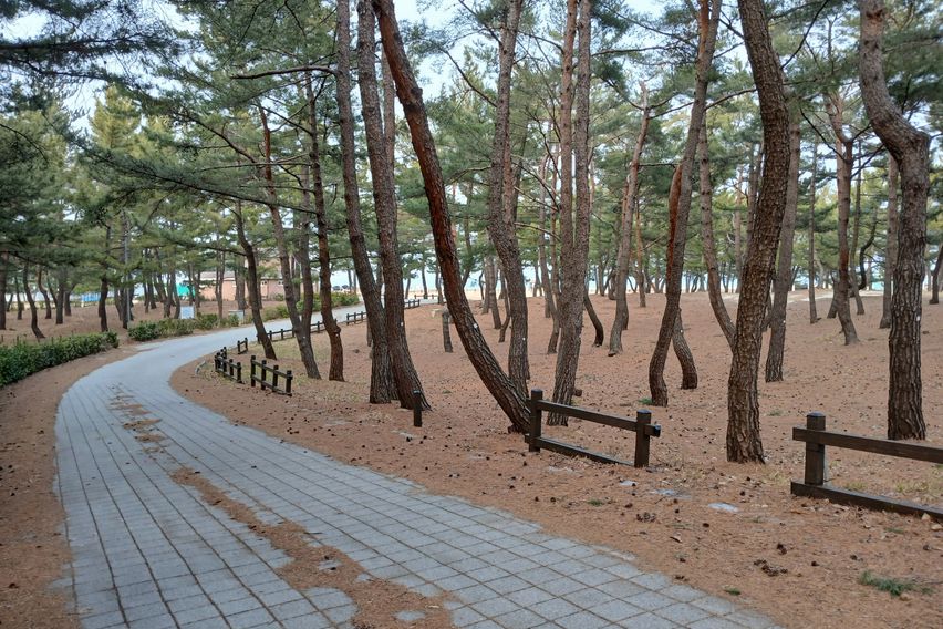 동화빌 102호 7번째 이미지