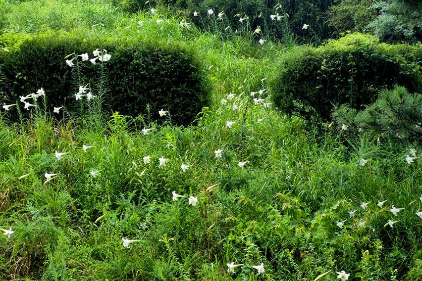 주례역코앞 23평아파트