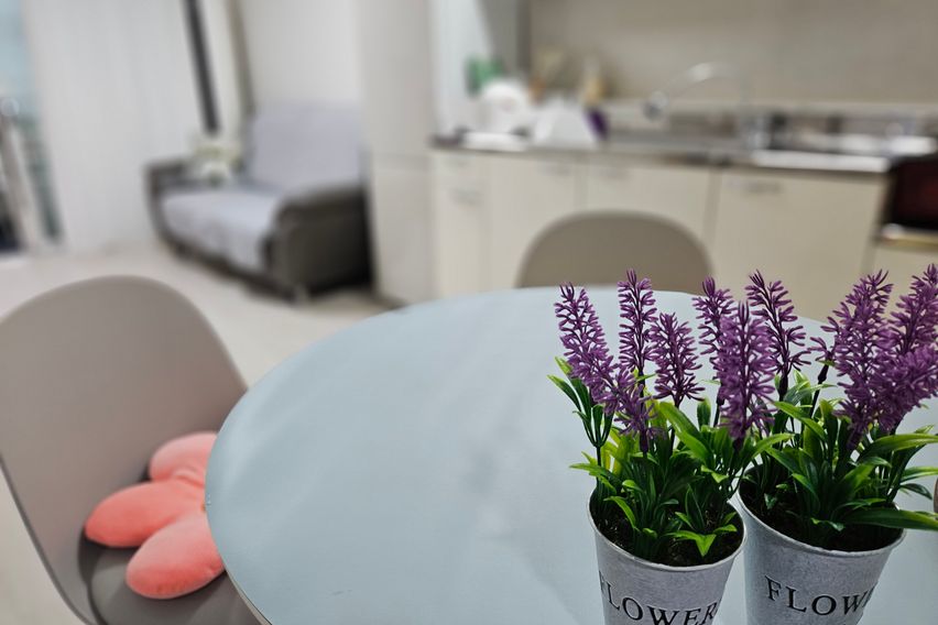 봉명 다시 찾는 투룸@