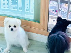 1 minute from Guseo Station • Business trip • 8th image