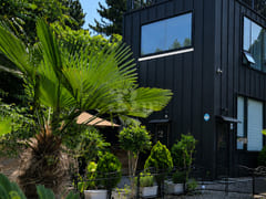 Black House: Dog-friendly 5th image