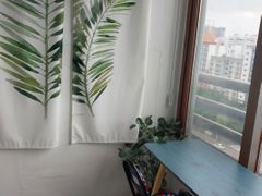 둔산동출장🤩아늑/깔끔 11번째 이미지