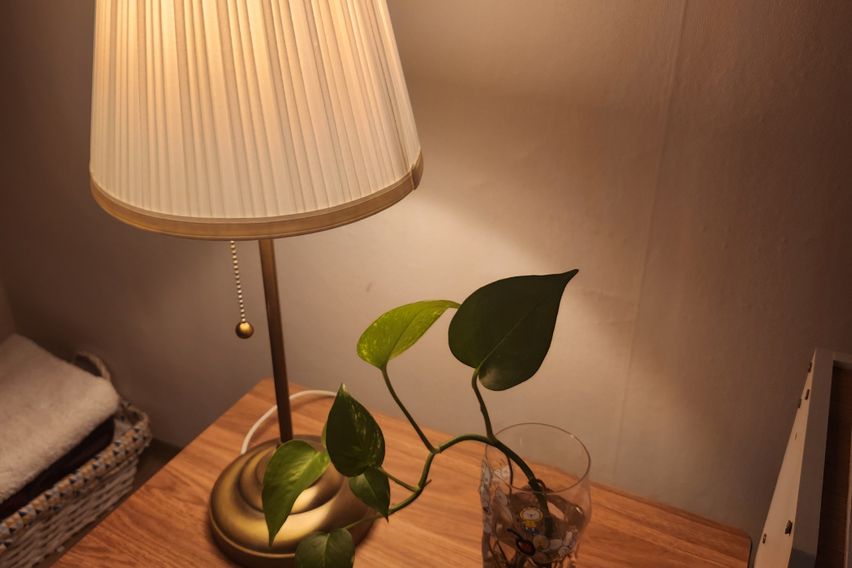 성소병원 인근 복집 3번째 이미지