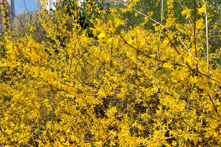 ㅁㅇ 8번째 이미지