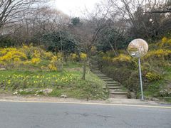 Mokpo Yudal Mountain 🏔️ A place with amazing 12th image