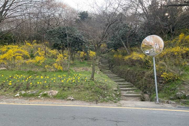 Mokpo Yudal Mountain 🏔️ A place with amazing 12th image