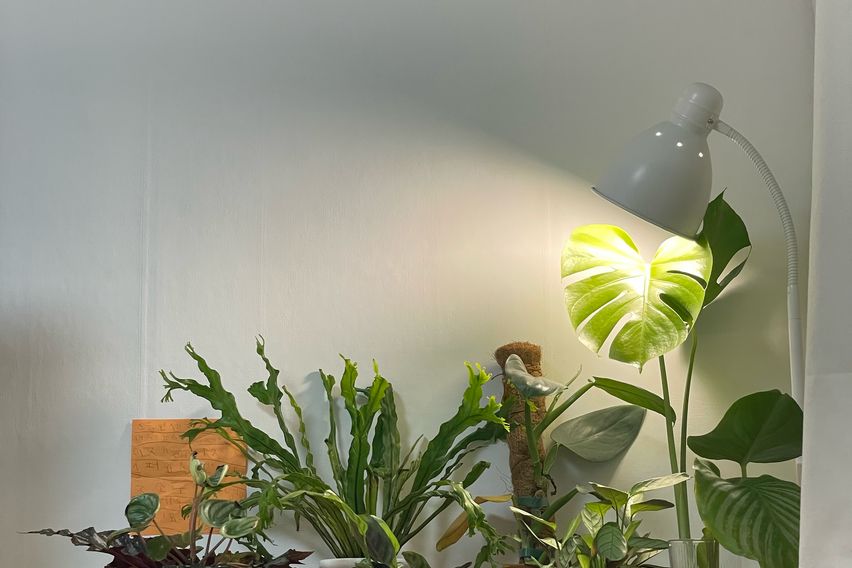 4인/주차/반려동물