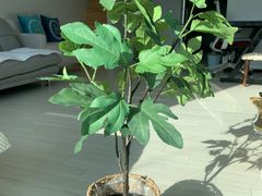 서현역 리모델링 모던 1번째 이미지