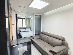 제주&연동l공항E 13번째 이미지