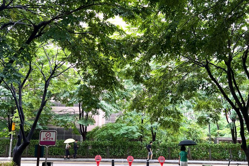 🩷강남역🩷고층뻥뷰조용