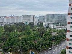 잠실문정수서초록숙소🌿🎶 13번째 이미지