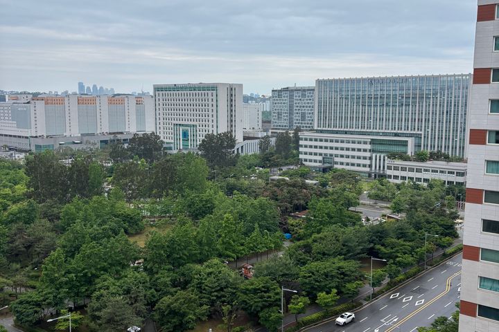 잠실문정수서초록숙소🌿🎶 13번째 이미지