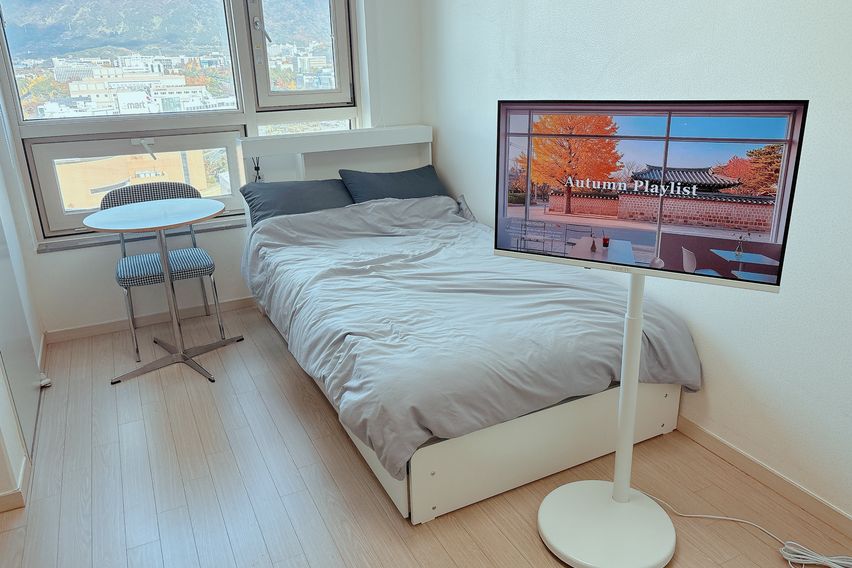 창원 도심1초 심플🍎